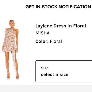 MISHA Dress!